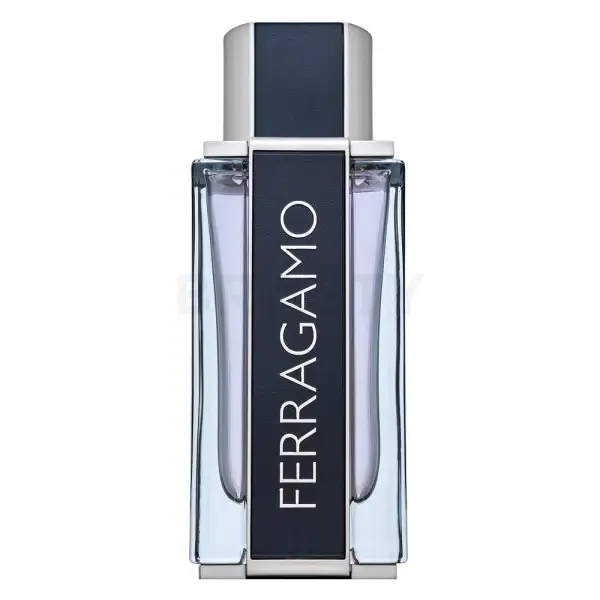 Ferragamo EDT M 100 ml