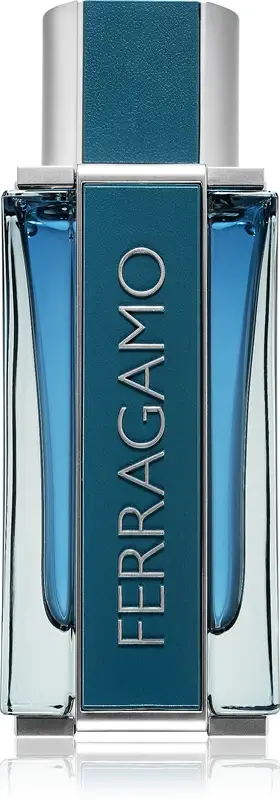 Intense Leather EDP M 100 ml