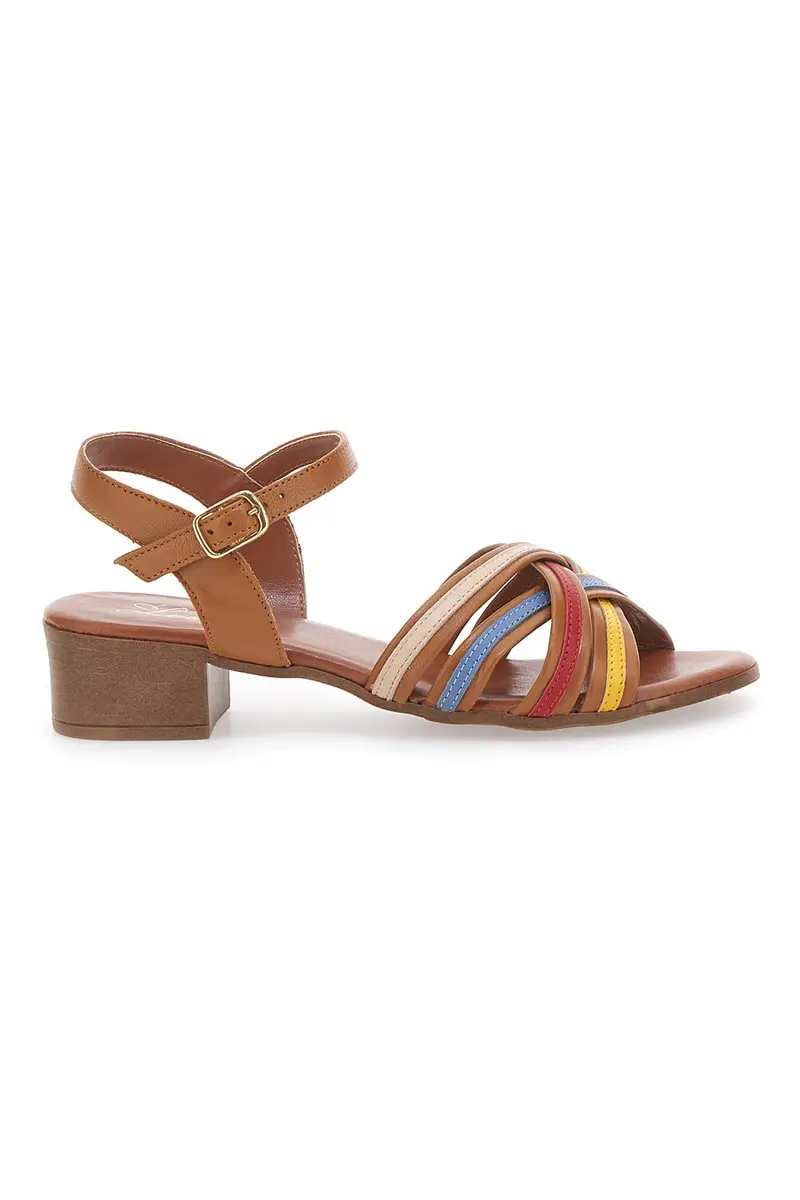 Sandali marroni con fascie colorate in Vera Pelle PITTARELLO LOOK 243110 miniatura 2