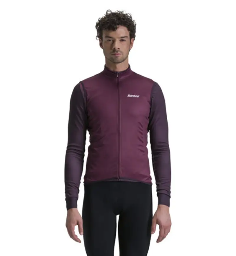 SANTINI Gilet Uomo Bordeaux 2410570