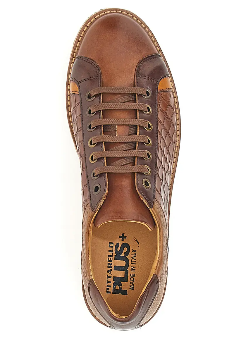 PITTARELLO PLUS Scarpe stringate 1944567 miniatura 3