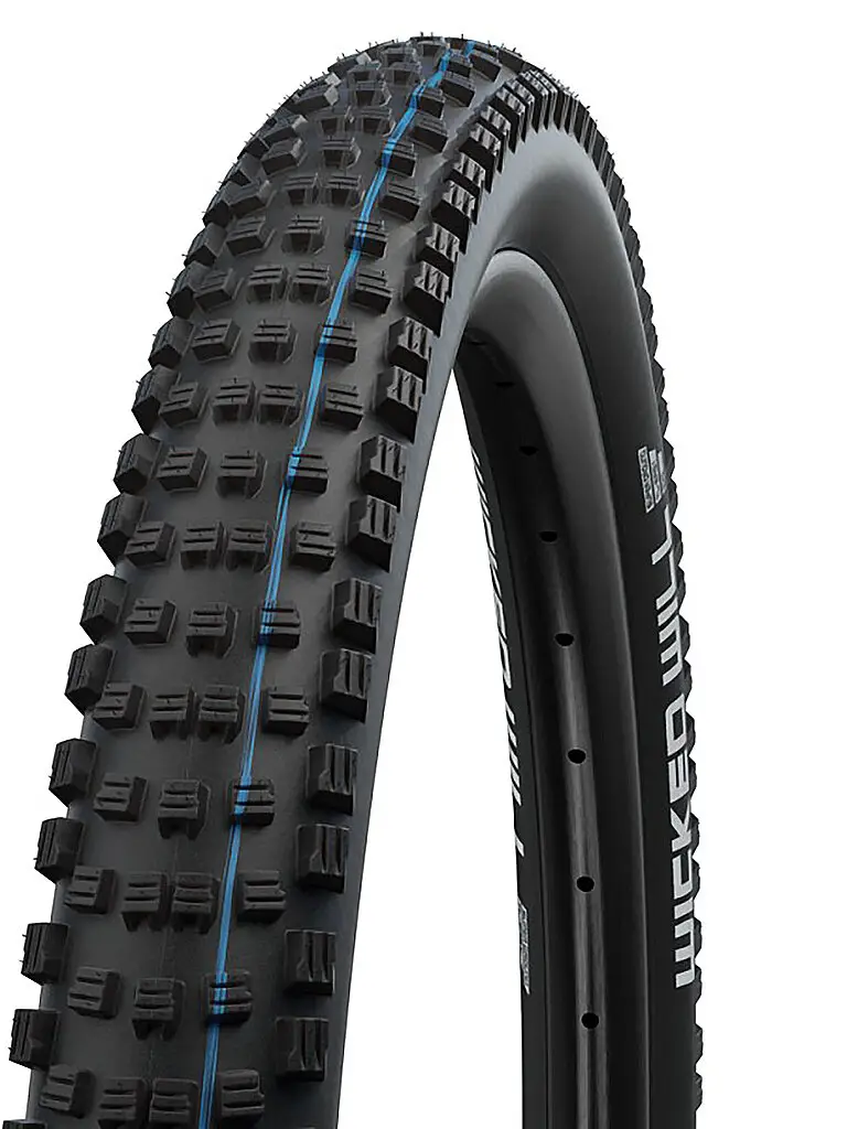 Pneumatico per bicicletta Wicked Will Performance Line 29 x 2 40 (62-622) nero