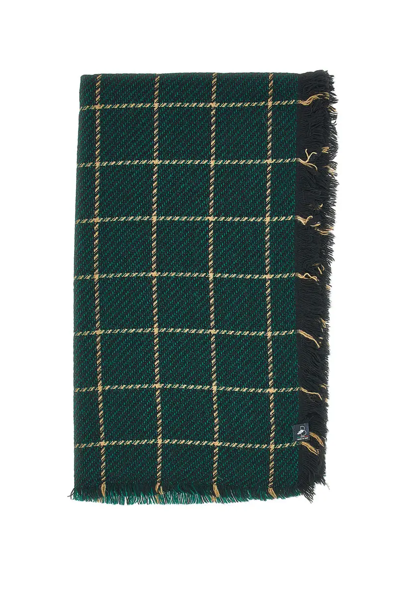 Sciarpa Verde a Quadri Basile 0149/U