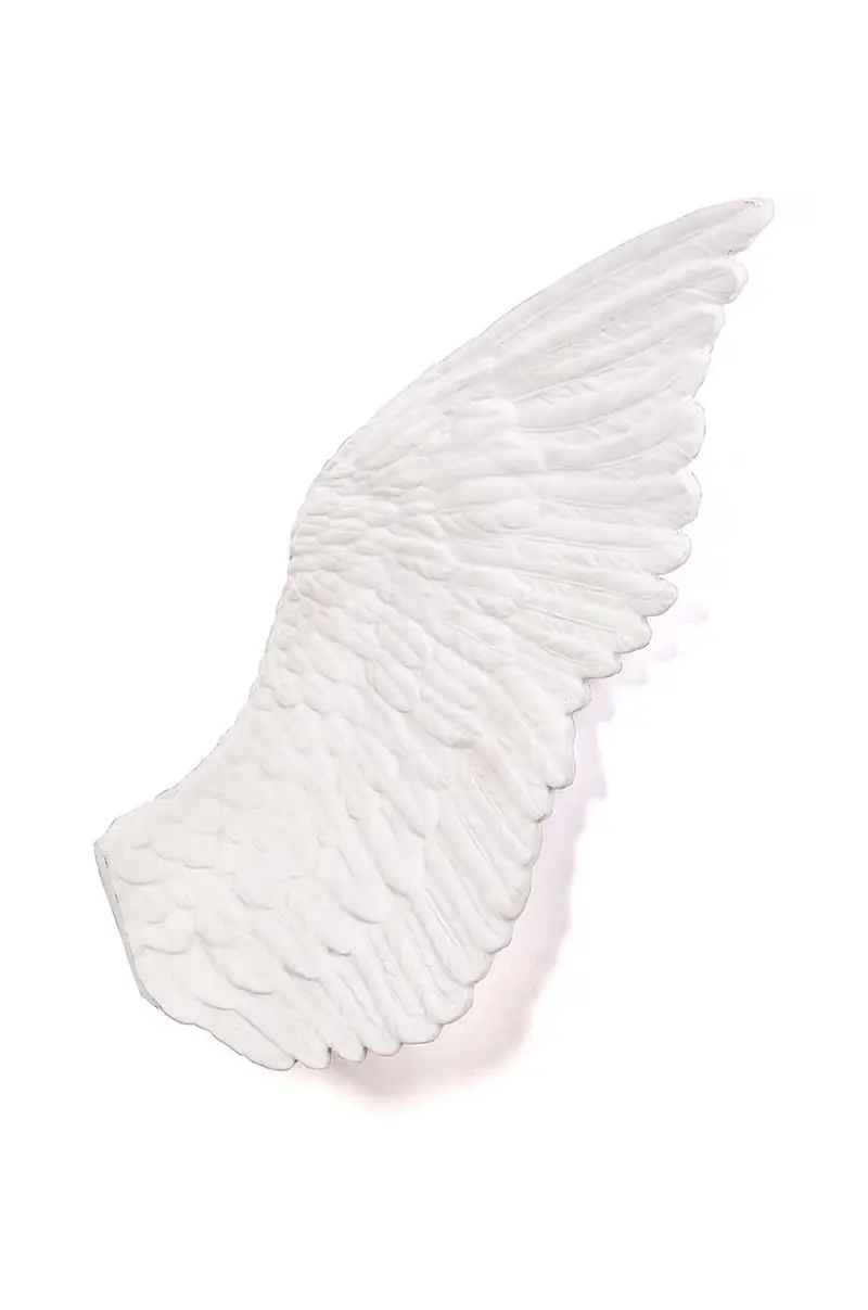 decorazione Mvsevm Wing Left Bianco miniatura 2