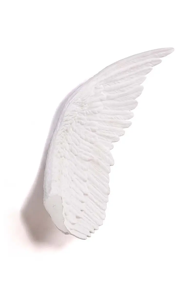 decorazione Mvsevm Wing Left Bianco miniatura 3
