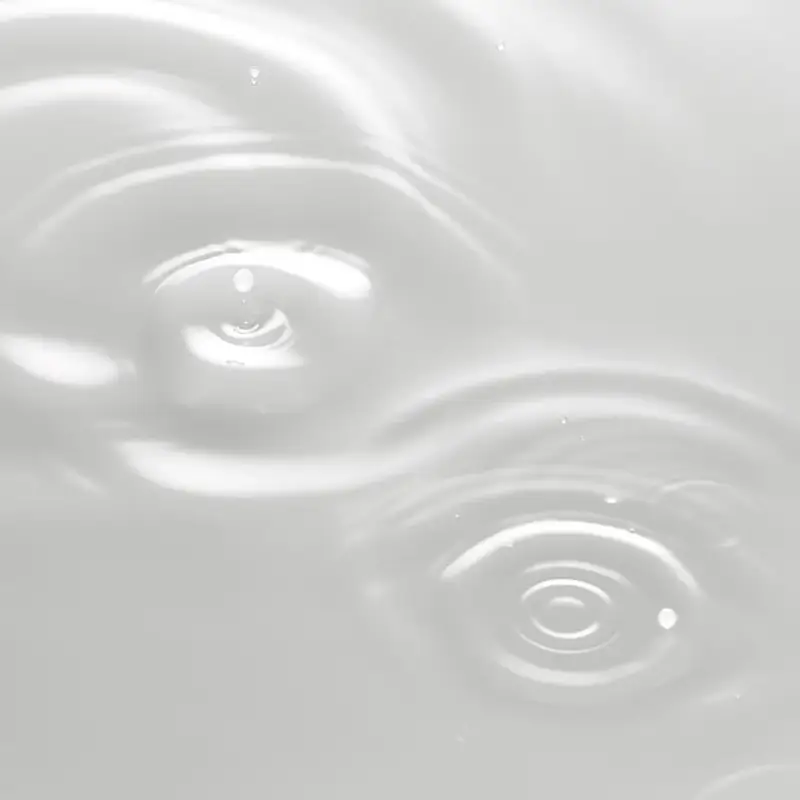 Absolute Silk Micro Essence-In-Lotion - Crema viso pelle secca, Crema idratante viso, Trattamento viso antirughe miniatura 2