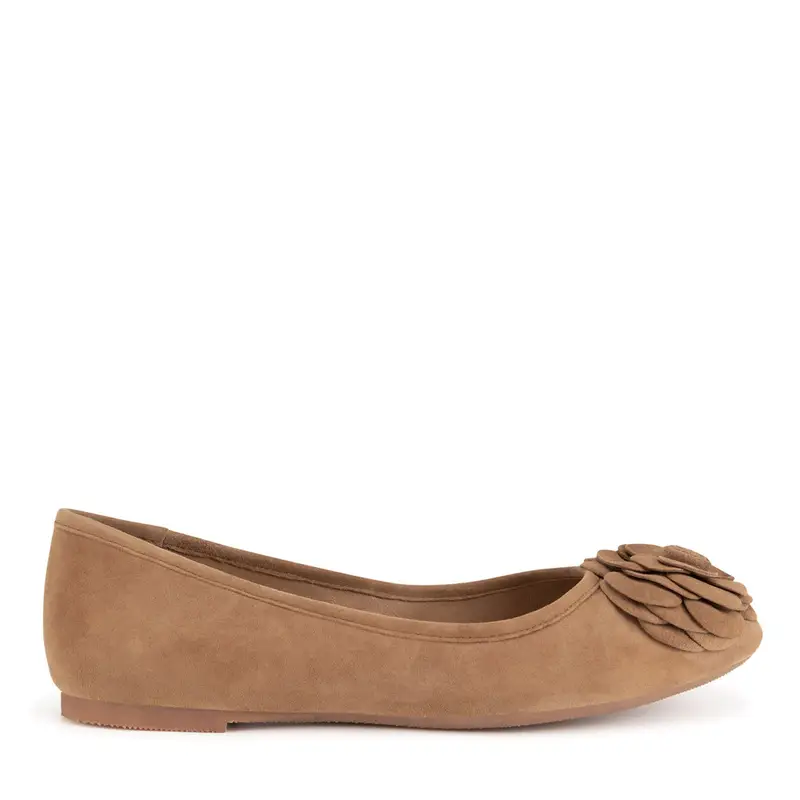 Sergio Bardi Ballerine Marrone 3089507
