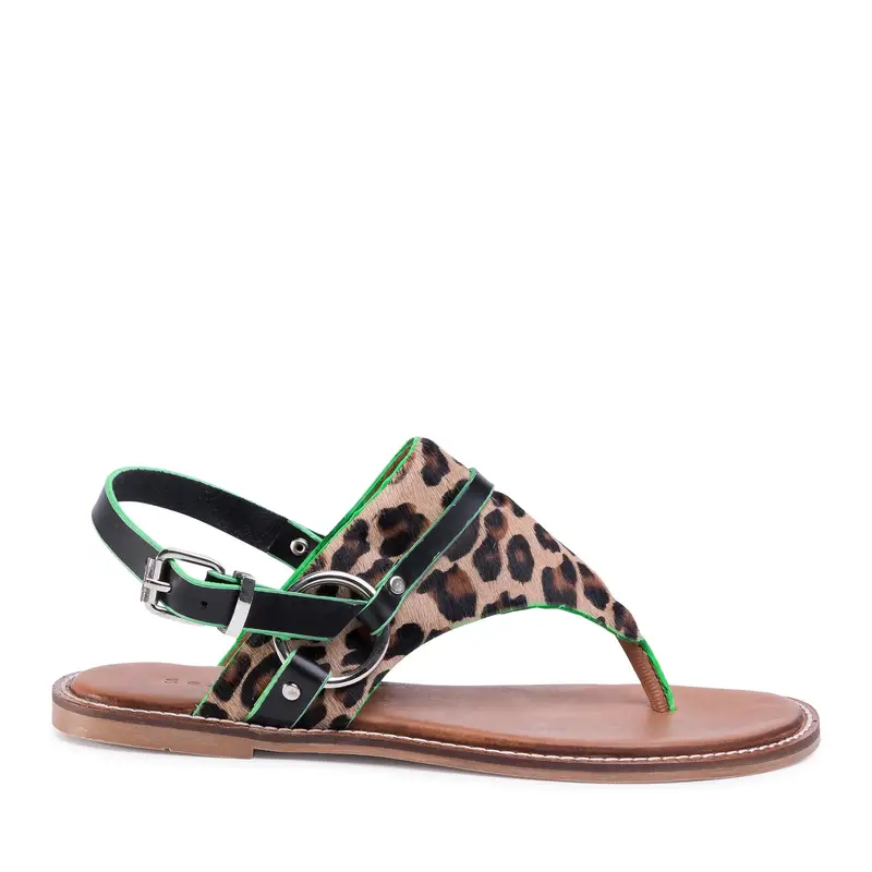 Sandali Sergio Bardi SB-50-09-000473 Marrone