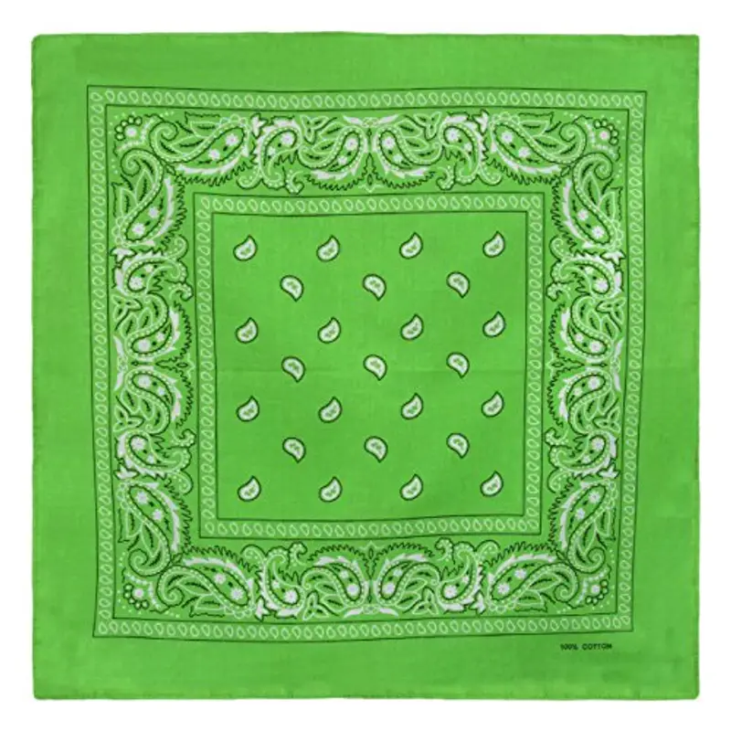 Set di 3 bandane Paisley verde chiaro, foulard in cotone con motivo cashmire, vendute in confezione da 3 miniatura 2