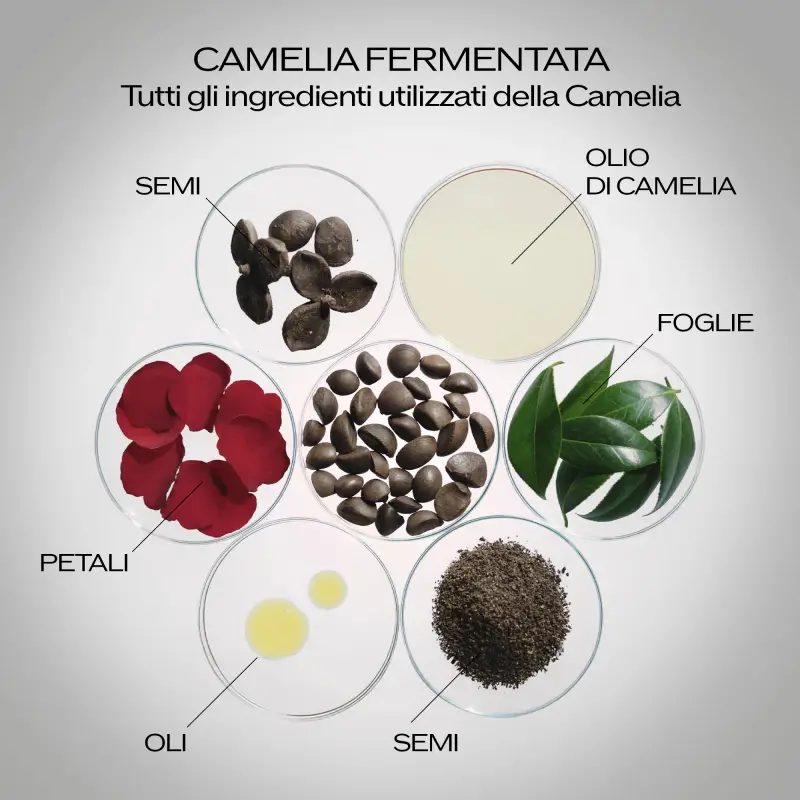 Ultimune Ulitmune Power Infusing Serum - Trattamento antietà pelli mature, Siero antirughe, Siero viso illuminante miniatura 4