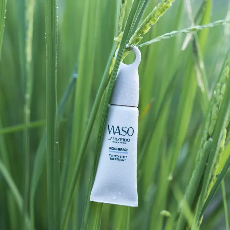 Waso KOSHIRICE Tinted Spot Treatment Natural Honey - Correttori, Crema antimacchie viso, Crema viso pelle grassa miniatura 5