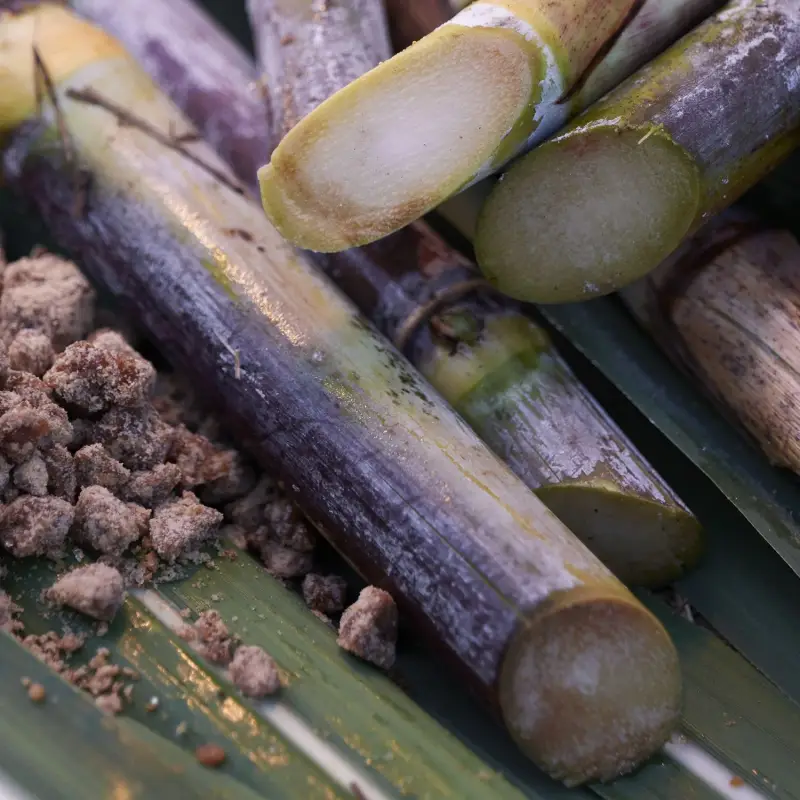 Waso SATOCANE Pore Purifying Scrub Mask - Maschera viso purificante miniatura 5