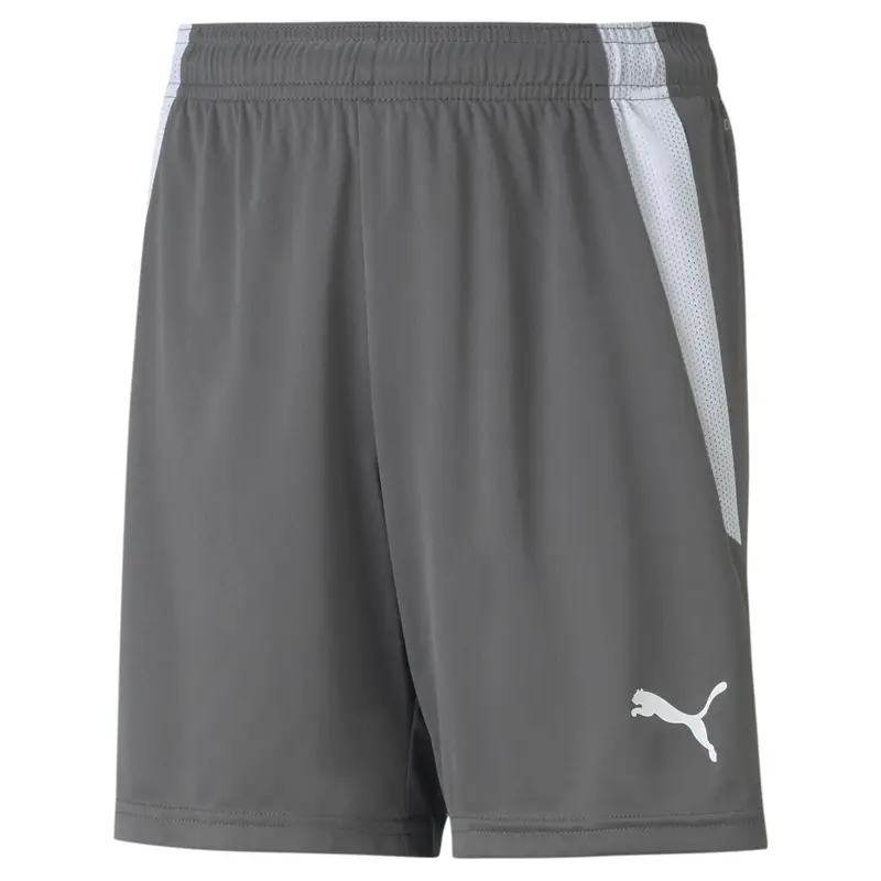 Short per bambini Puma Team Liga
