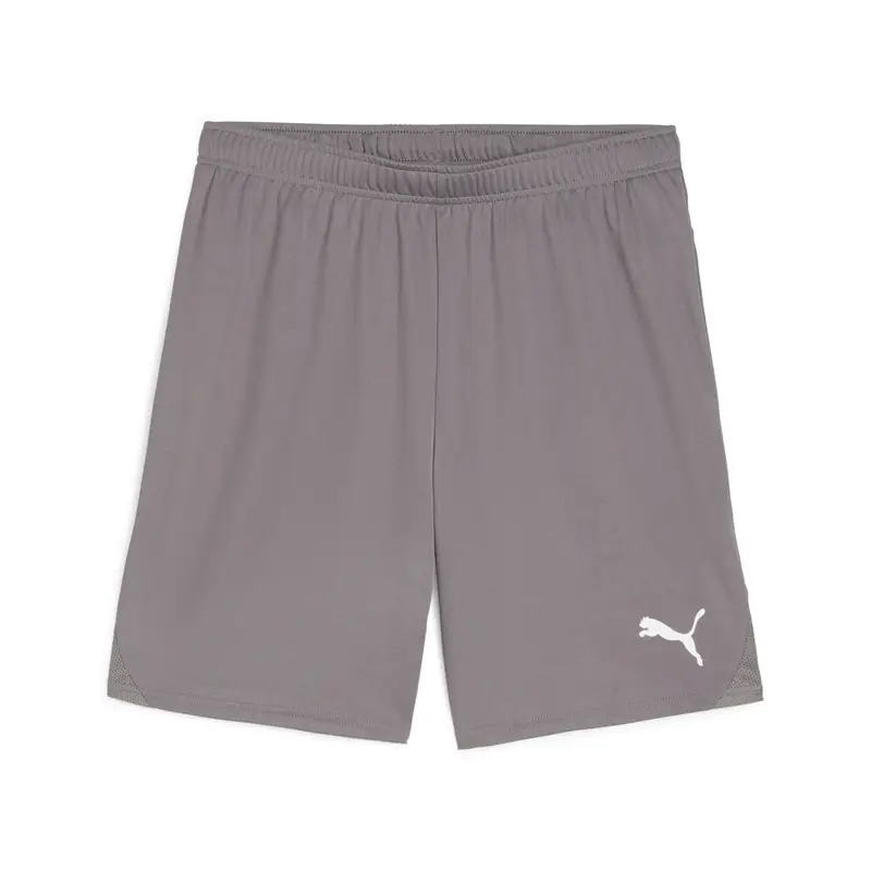 Short Puma TeamGloal