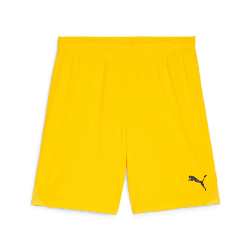 Short Puma TeamGloal