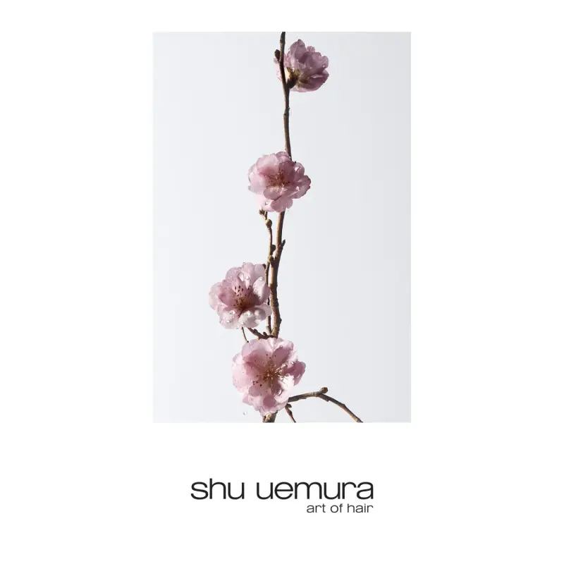 Deep Cleansers Delicate Comfort Moisture Balancing Shampoo - Shampoo delicato, Capelli normali miniatura 2