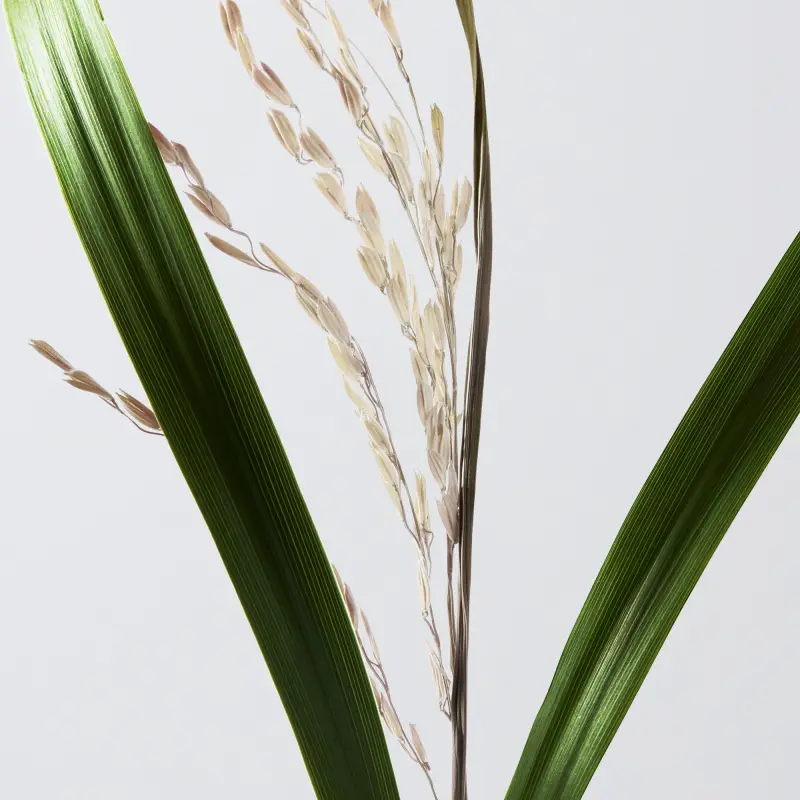 Ultimate Reset Extreme Repair Shampoo - Shampoo riparatore, Capelli fini, Capelli danneggiati miniatura 5