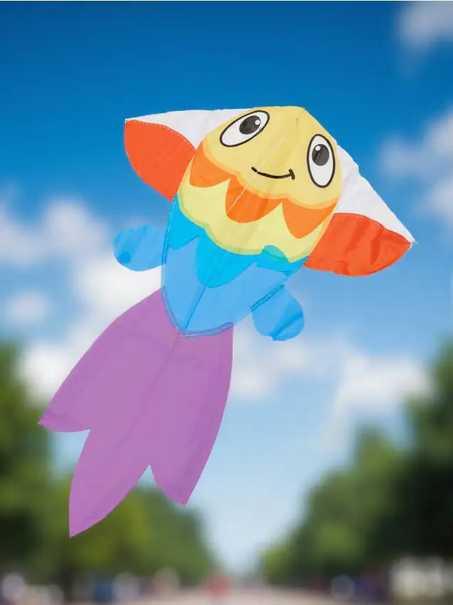 Aquilone - multicolor