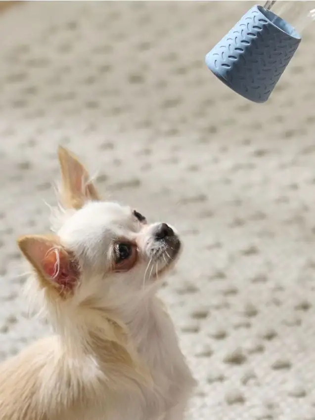 Beccuccio spray per bottiglia per cane - blu pallido