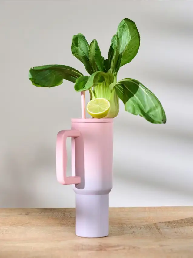 Bicchiere riutilizzabile con cannuccia - multicolor