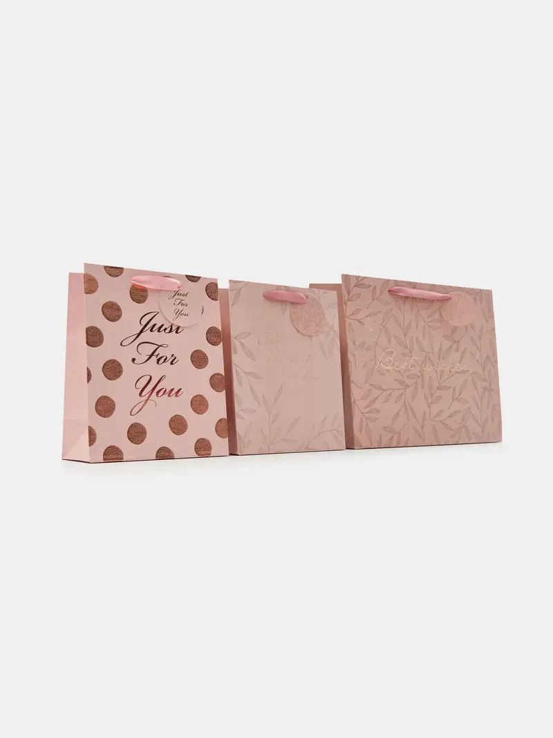Borsa regalo 3 pack - rosa cipria miniatura 3