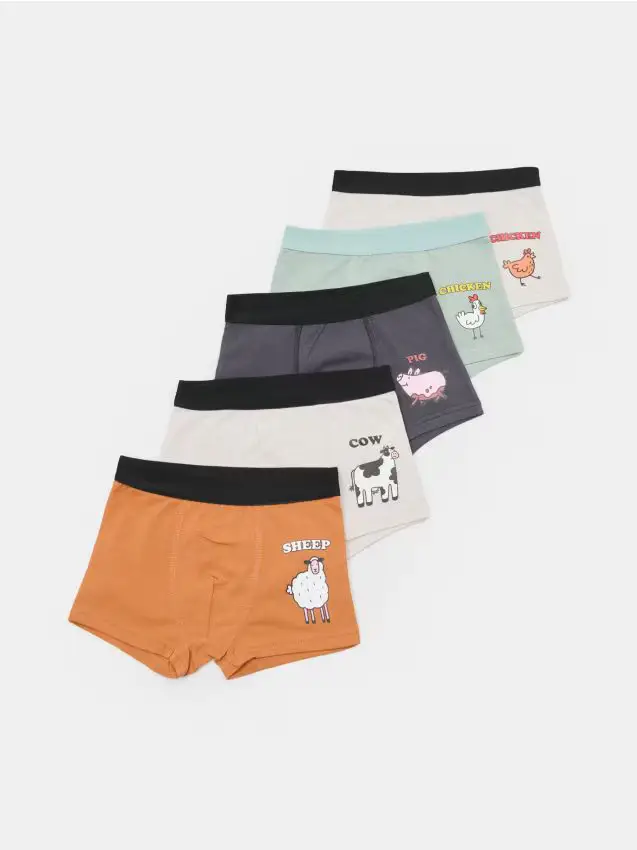Boxer in cotone, confezione da 5 - multicolor