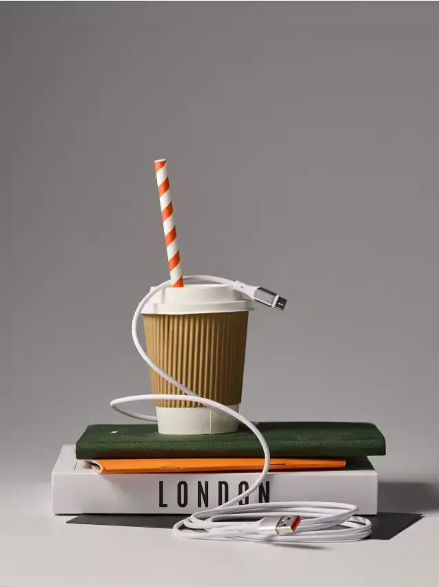 Cavo USB di tipo C 2 metri - bianco