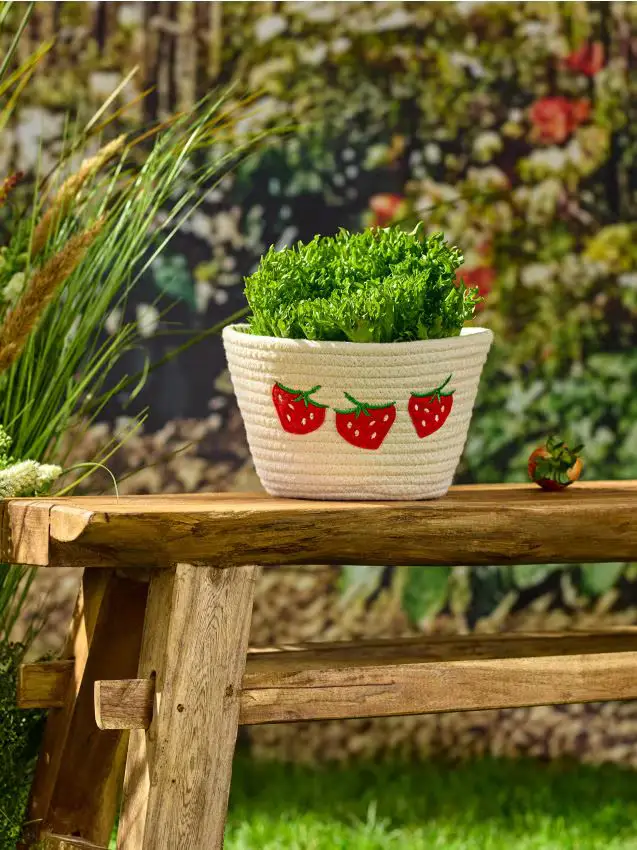 Cesto portaoggetti - bianco