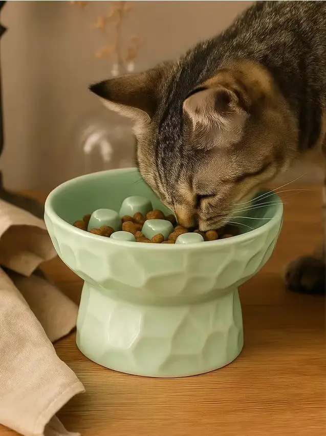 Ciotola che rallenta l alimentazione per cani e gatti - verde pallido