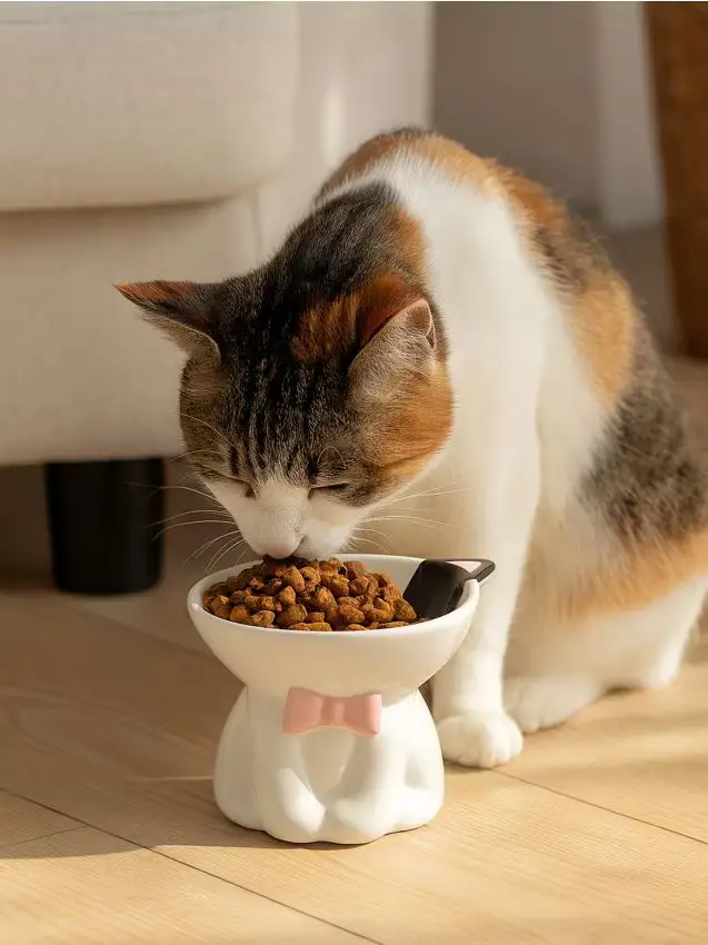 Ciotola in dolomite per gatti - nero