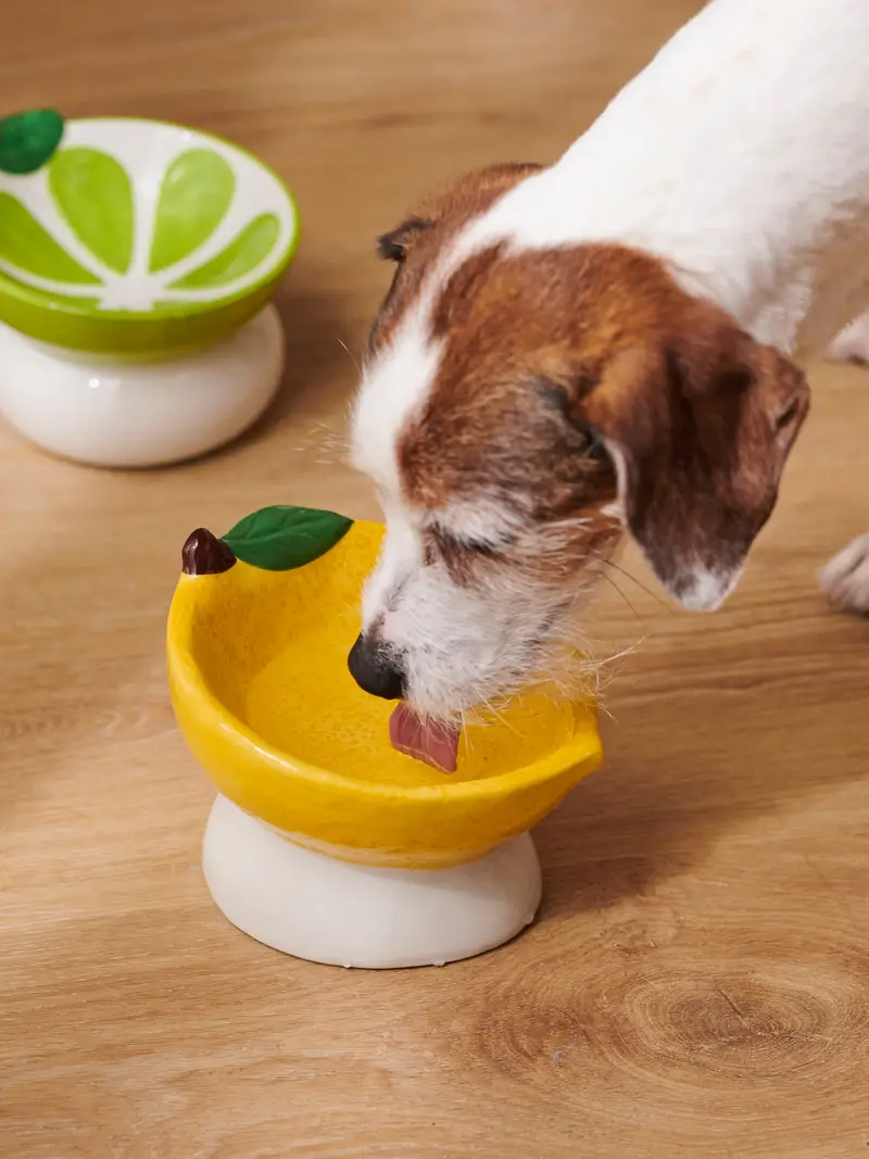 Ciotola per cane - giallo miniatura 2