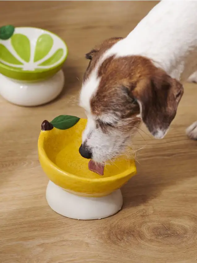 Ciotola per cane - giallo