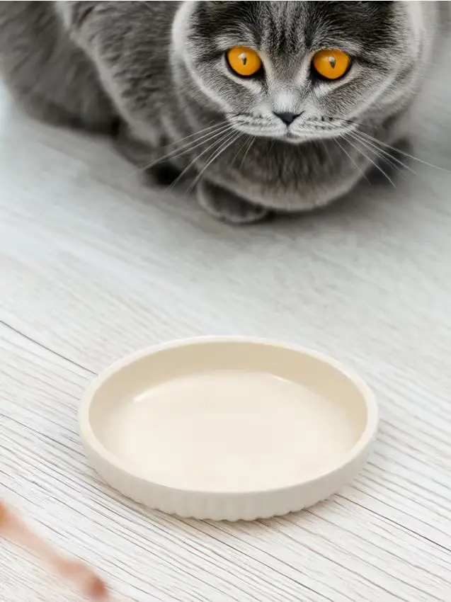 Ciotola per cane - panna