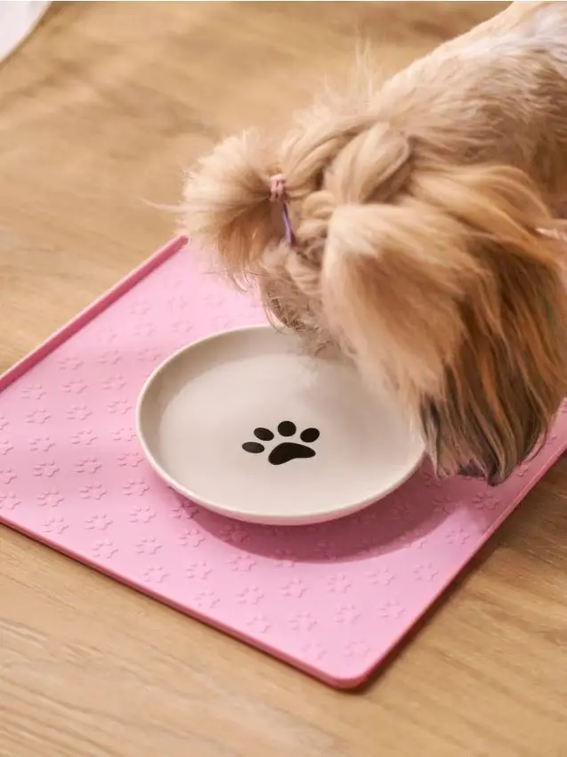 Ciotola per cani - panna