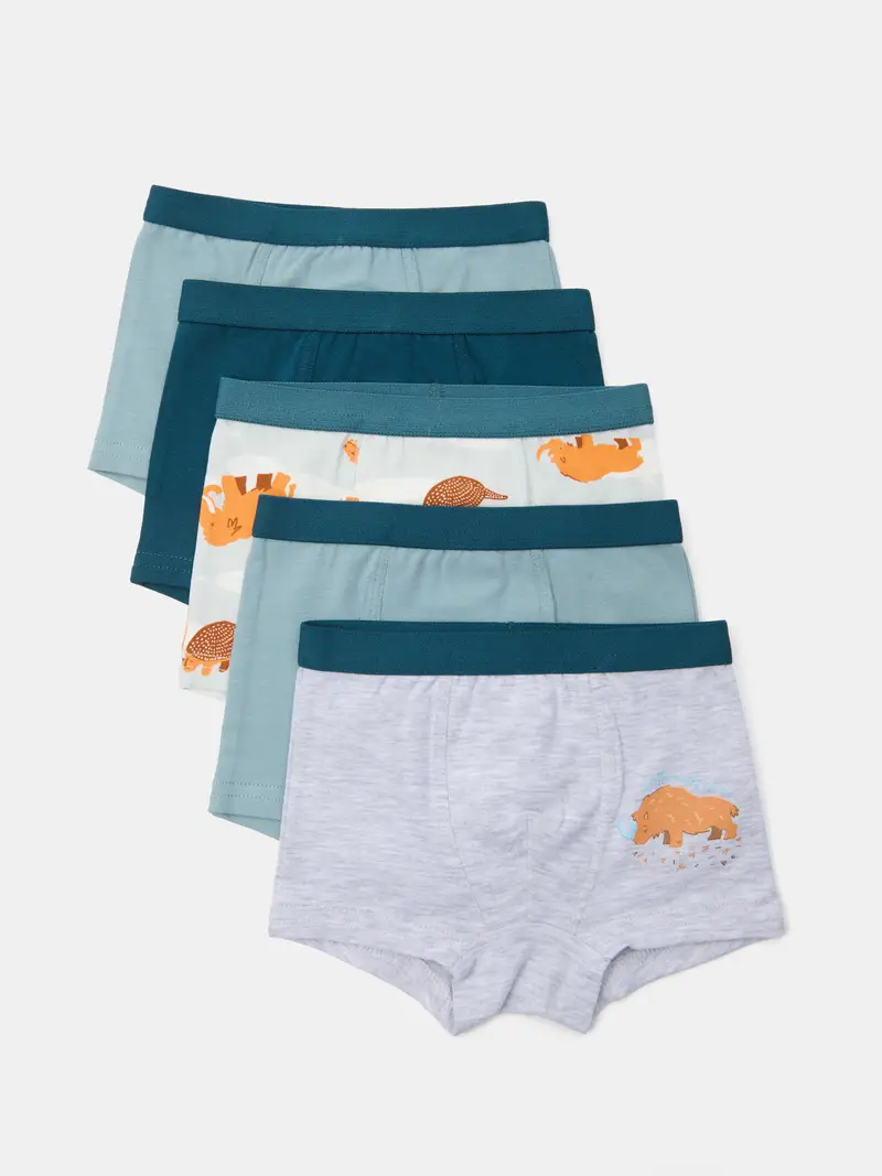 Confezione da 5 boxer - multicolor miniatura 2