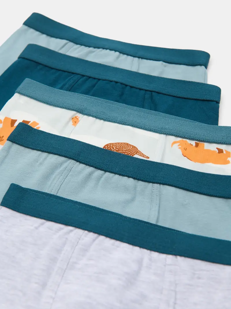 Confezione da 5 boxer - multicolor miniatura 3