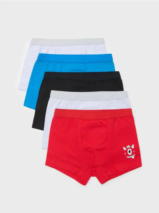 Confezione da 5 boxer - multicolor
