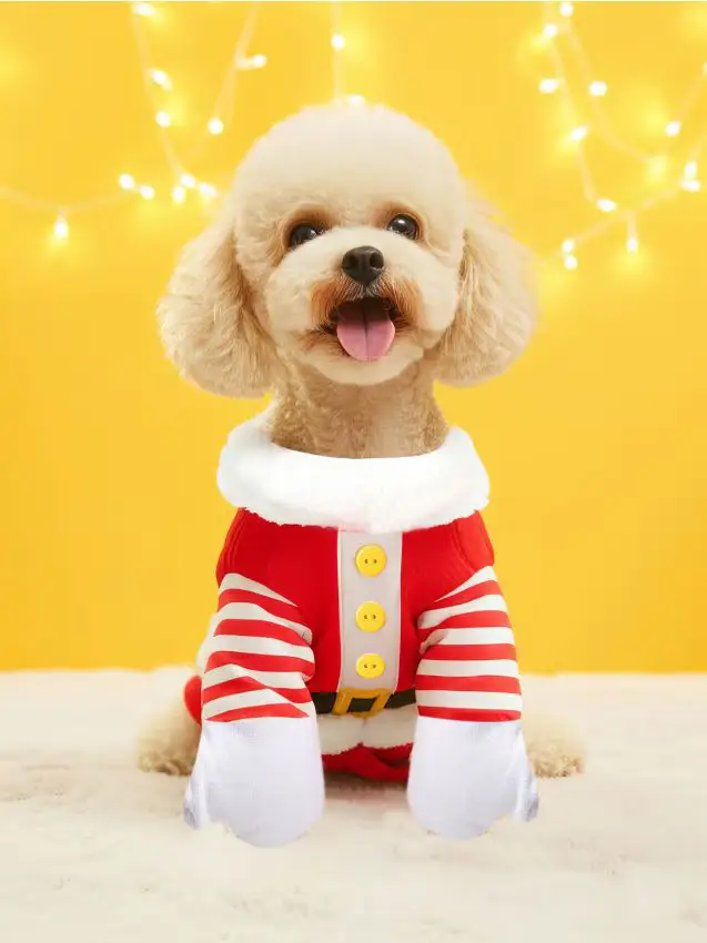 Costume cane - rosso