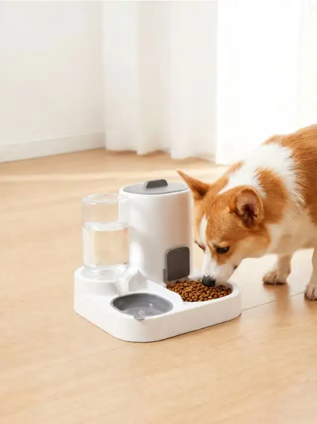 Dispenser di cibo per animali con contenitore trasparente per l acqua - grigio chiaro