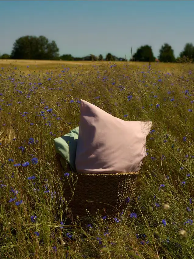 Federa - rosa pastello