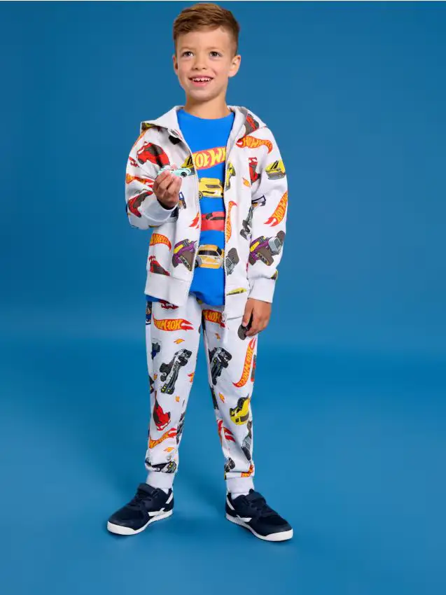 Felpa con cappuccio Hot Wheels - grigio chiaro