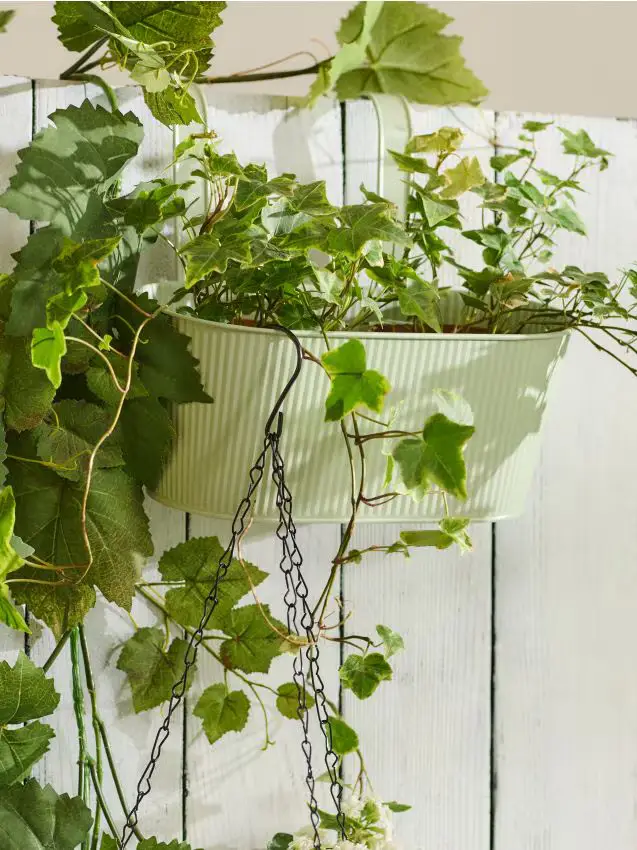 Fioriera da appendere alla ringhiera - verde pallido