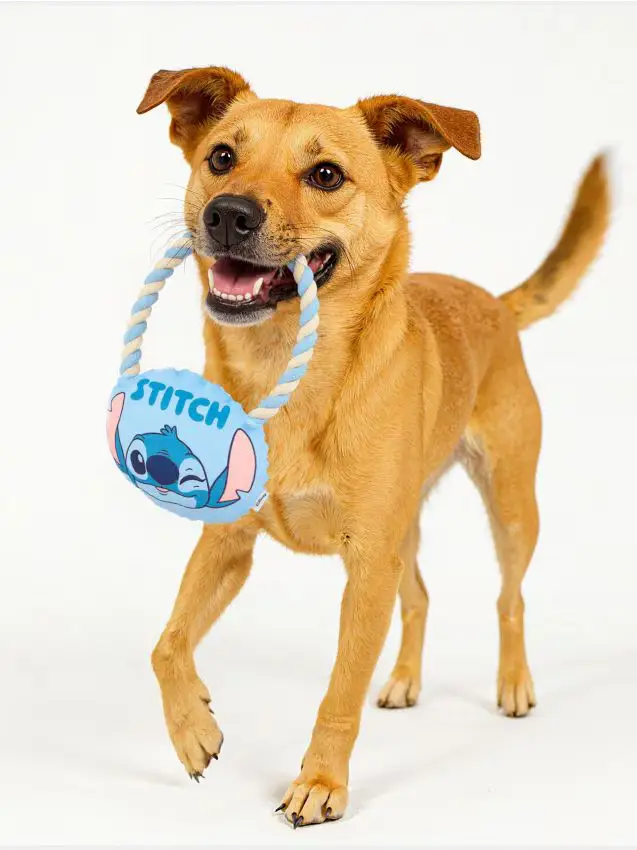 Giocattolo da tiro per cani Stitch - blu pallido