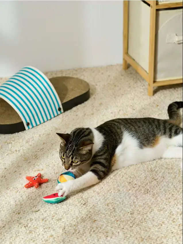 Giocattolo per animali 3 pack - multicolor