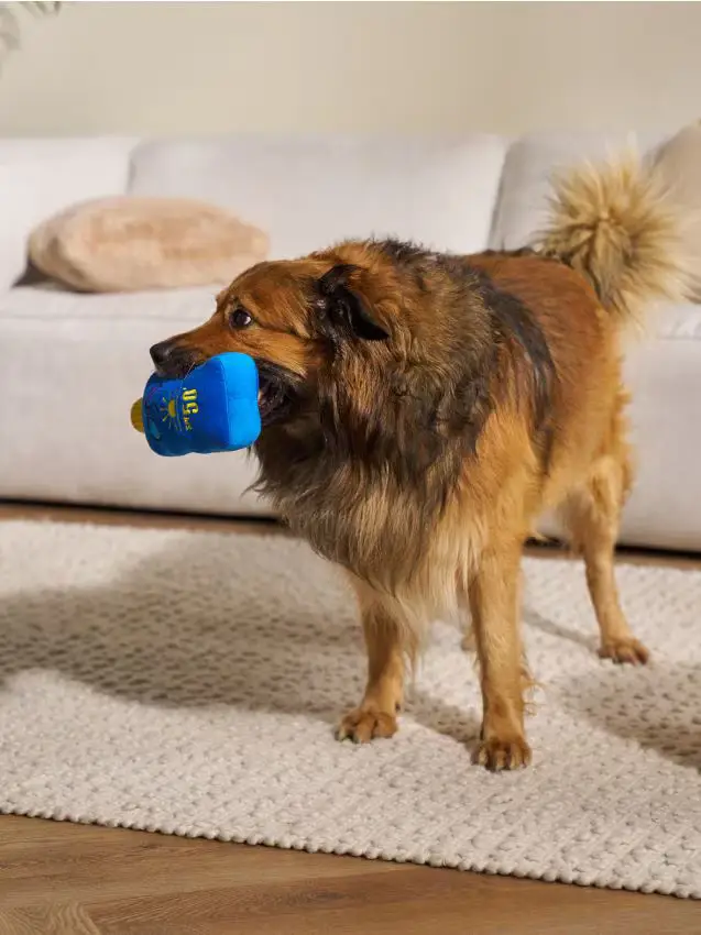 Giocattolo per cani - blu