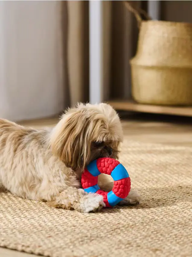 Giocattolo per cani - rosso