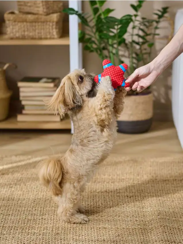 Giocattolo per cani - rosso