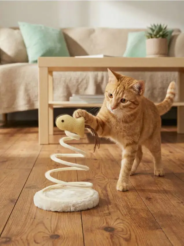 Giocattolo per gatto con motivo a verme su molla - beige