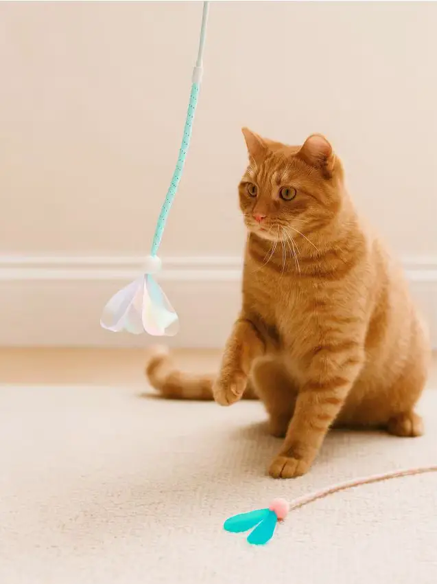 Giochi per gatti set da 2 - multicolor