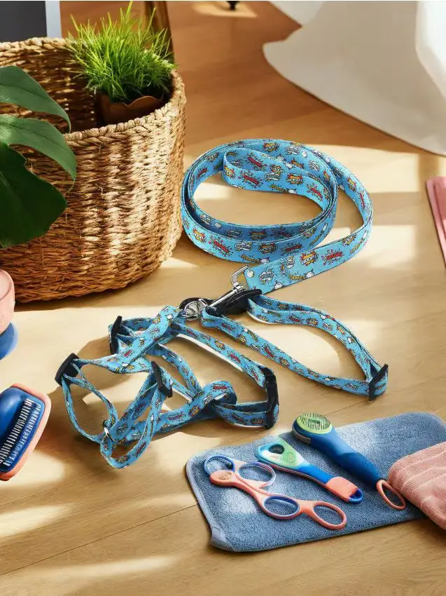 Guinzaglio, collare e pettorina per cane - blu pallido